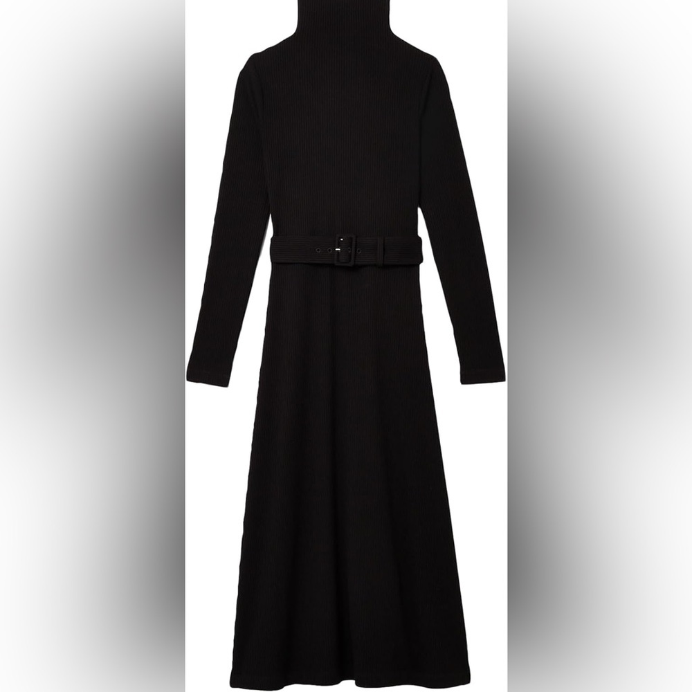 Club Monaco Turtleneck Midi Dress